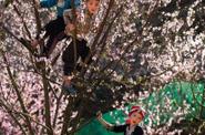 Kids on the tree