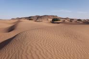 Local dunes 