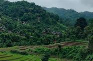 Local landscape 