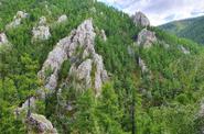 Local landscape 