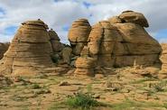 Local landscapes 