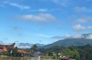 Local landscape 