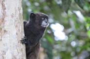 Ecuador Trekking