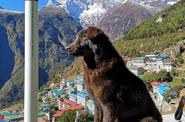Nepal Travel