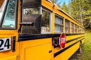 School bus 