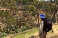tourist in forest looking at slopes