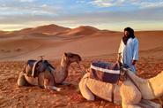 In the desert 