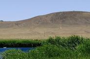 Local landscapes 