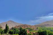 Local landscape 