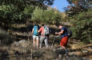 On the trek 