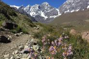Chile Hiking