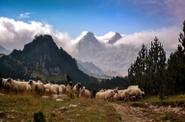 Bosnia Hiking