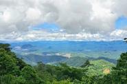 Local landscape 