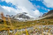 Local landscapes 