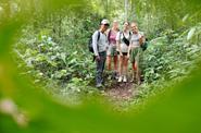 On the trek 