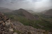Local landscape 