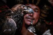 Eagle hunter
