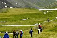 On the trek 