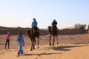On the trek 