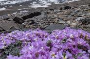 Kyrgyzstan Hiking
