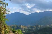 Local landscape 