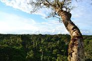 Ecuador Trekking