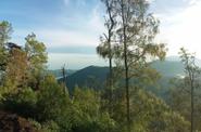 Local landscape 