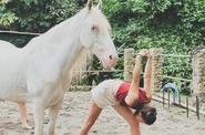 Yoga with Horses