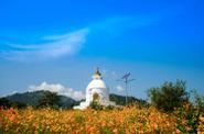 World Peace Pagoda