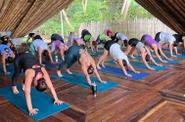Kundalini Yoga