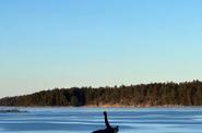 excursion on the sea ice