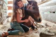 Horse and a child