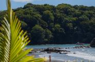 tropical beach in Costa Rica
