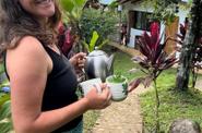 homemade herbal tea