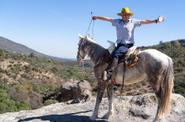 horseback ride