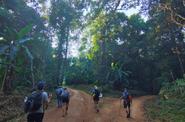 Sensorial walk