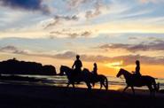 horseback riding