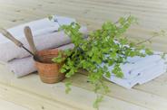 sauna equipment
