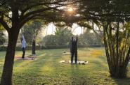 meditation