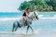 swimming with horses