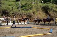 horsemanship experience