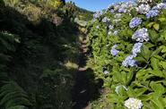 hiking route