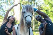 Yoga with Horses