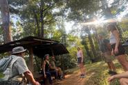 group awareness circle