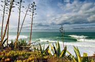 Ericeira beach