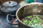 Ayahuasca Ceremony