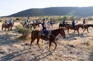 horseback ride