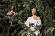 mindful forest bathing practice