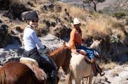 final short horseback ride