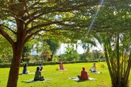 Le Cocotier Resort